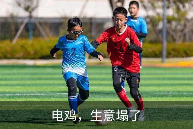 电鸡，生意塌了